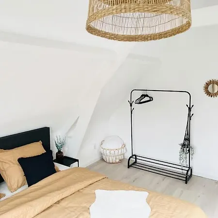 M Adam Iii Apartment Rotterdam